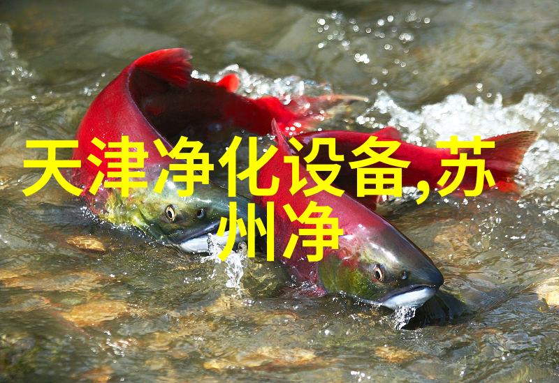 方形地埋式平流式溶气气浮机